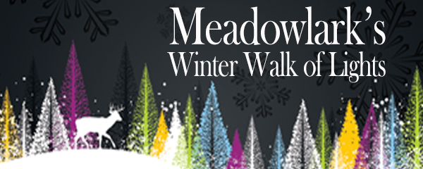 meadowlark_winter_walk.jpg